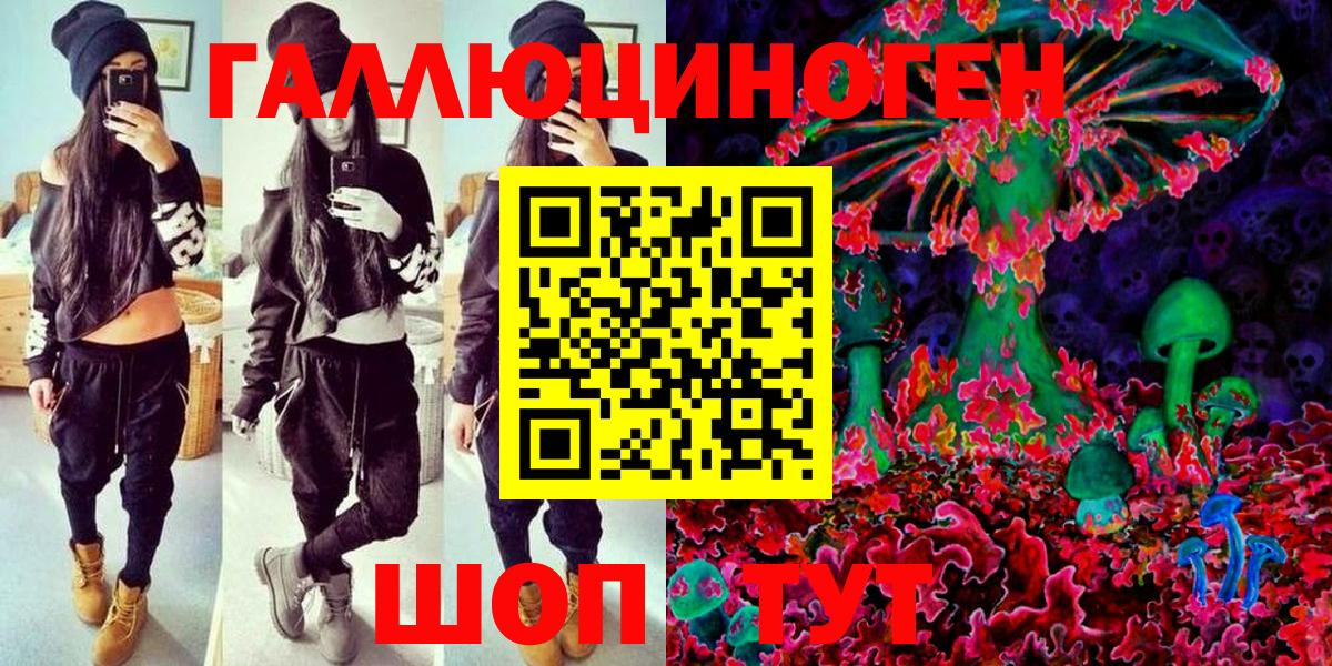 Галлюциногенные грибы Psilocybe  что такое   Вход с VPN  Будённовск  Галлюциногенные грибы мухоморы 
